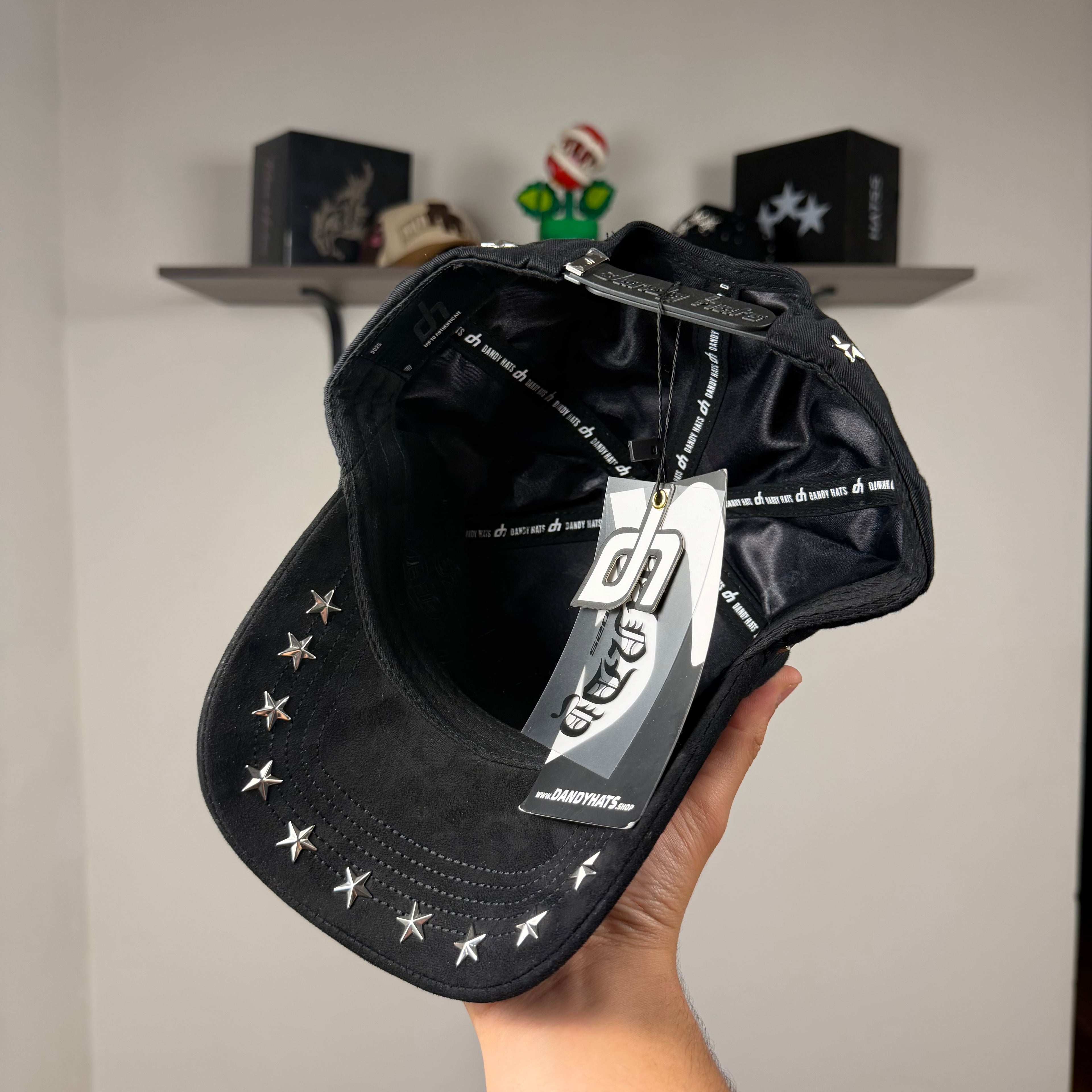 DANDY “STARS AND STUDS”